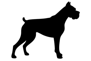 Red Boxer Dog Silhouette animal canine