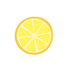 Citrus fruit slices. Round slices of orange, lemon, lime, grapefruit and halves. Vector illustration	