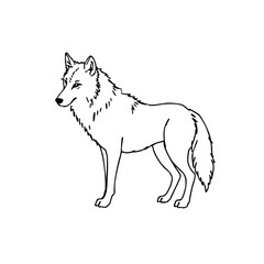 Simple line sketch of a wolf in a standing position  