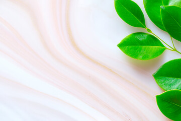 Smooth cream swirl texture with natural marble and green leaves organic design