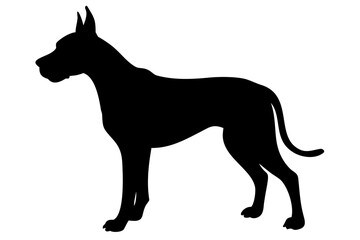 Great Dane Dog Silhouette on White Background animal