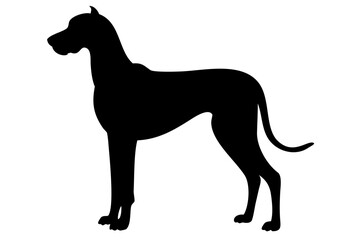 Long Haired Great Dane Dog Silhouette animal