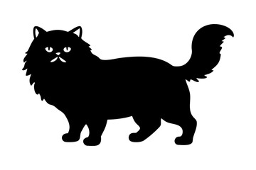 Silhouette of a Man Holding a Magnifying Glass searching