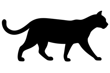 Bengal Cat Silhouette on White Background animal feline