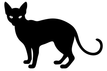 Black Sphynx Cat Silhouette animal domestic cat