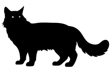 Black Maine Coon Cat Silhouette on White Background