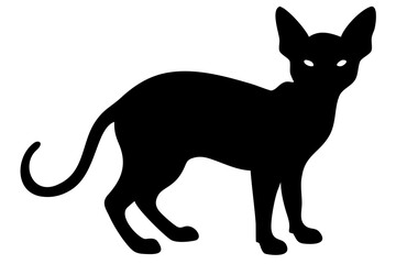 Long Haired Sphynx Cat Silhouette animal