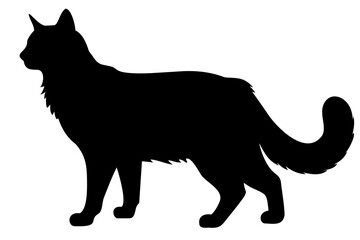 Red Maine Coon Cat Silhouette feline animal