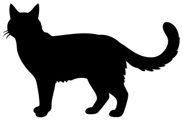 Short Haired Maine Coon Cat Silhouette animal silhouette
