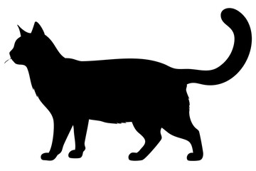 Black Maine Coon Cat Silhouette black cat animal silhouette