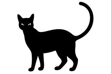 Siamese Cat Silhouette animal feline