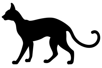 Siamese Cat Silhouette on White Background animal feline 1