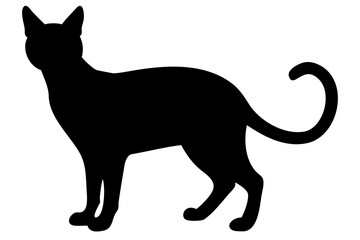 Siamese Cat Silhouette with Transparent Background
