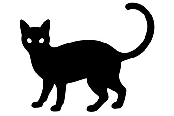Siamese Cat Silhouette on White Background animal feline