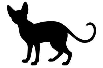Sphynx Cat Silhouette on White Background animal domestic animal 1