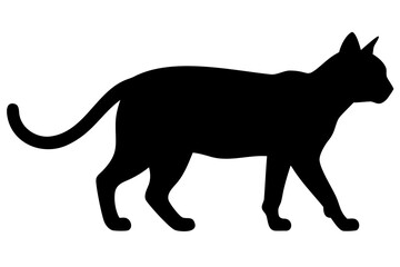 Silhouette of a Giant Bengal Cat Standing feline animal