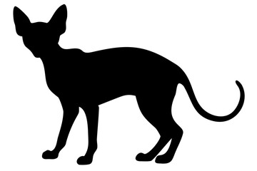 Sphynx Cat Silhouette on White Background animal domestic animal