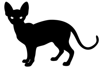 Sphynx Cat Silhouette on White Background animal domestic animal 3