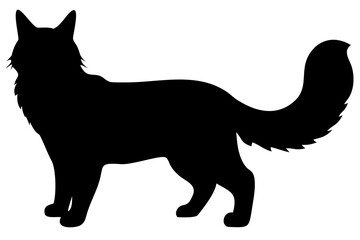 White Maine Coon Cat Silhouette animal silhouette pet silhouette