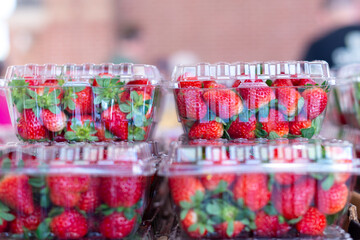 Clear plastic containers of fresh red, ripe strawberries with the stems still on them. The packages...