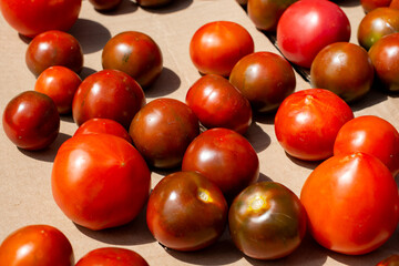 A top view of multiple vibrant ripe organic red cherry tomatoes in a large bowl.  All the ripe tomatoes except one have a stem on the tomato.  They are round, vibrant, full, and juicy vegetables. 