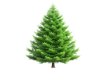 A detailed low poly pine tree with vibrant green foliage and a brown trunk isolated on a transparent background