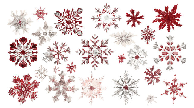 Snowflake accents illustration wide angle