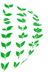 Leaf Shapes Vector Pack – Badges and Icons for Natural, Bio, and Organic Product Design