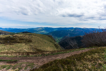 Hohneck en été – Nature en majesté
