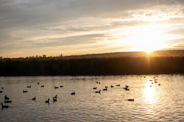 Naklejka premium Lake view, city skyline on the back shore, evening. Against the sunset