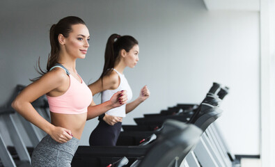 Sporty women running on treadmill, doing cardio workout in gym, copy space
