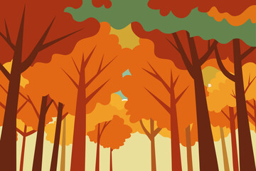 autumn forest canopy