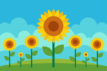 Sunflower Field Glow