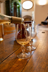 Visit of chateau with undergroud caves and wine tasting  in Cahors wine production area, white, rose and red malbec wines, France