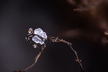 White unidentified crystal on copper wire drom slag locality. Specimen from Slag of Chessy,...