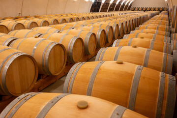 Visit of undergroud caves witn wine barrels for aging in Cahors wine production area, red malbec wines, wine tasting in chateau, France
