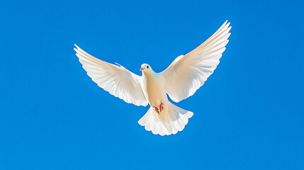 Fototapeta premium White dove flying against a bright blue sky, showcasing its elegant wings and serene presence in nature representing freedom and limitless potential