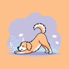 Dog Doing Stretching / Yoga