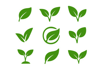 Green leaves icon set. Leaf, plant, sprout silhouette collection. Eco, bio, vegan, organic food product symbol. Natural, environment, ecology, nature vector logo element.