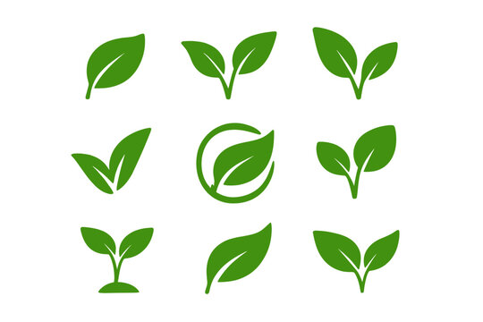 Green leaves icon set. Leaf, plant, sprout silhouette collection. Eco, bio, vegan, organic food product symbol. Natural, environment, ecology, nature vector logo element.