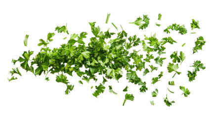 Obraz premium Chopped dry parsley leaves flying isolated on white background 
