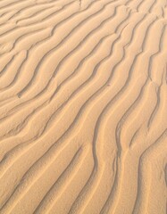 Fototapeta premium Abstract Wavy Sand Texture with Golden Light on Beach Sand Dune Patterns