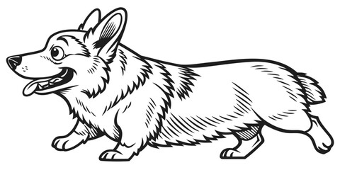 A cartoon style corgi dog with short legs and a fluffy coat is walking happily to the right