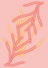 Abstract colorful design with swirling lines on pink background  