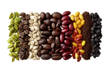 Culinary studio journey coffee beans and spice exploration. Isolated on transparent background, png.