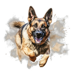 german shepherd dog