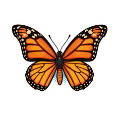Obraz premium Vibrant butterfly in playful pop art style with bold colors, isolated on white background, concept of creativity and nature appreciation. businesses: art design, decorating.