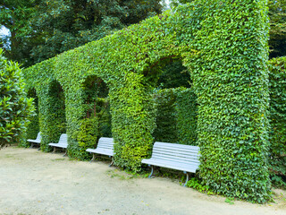 Imagine a lush green archway with benches, perfect for relaxation in a tranquil garden. This serene...