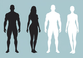 Silhouettes and outlines of male and female bodies