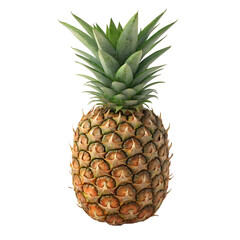 Fototapeta premium Whole ripe pineapple with green crown on black background